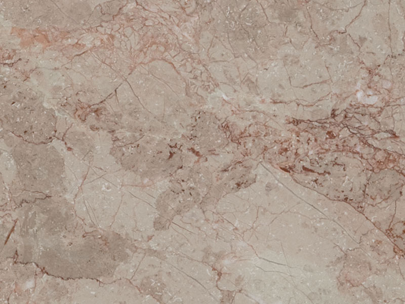 lotusrosalia12
